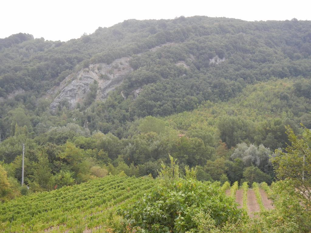 La Colombarola Agriturismo Farneto Eksteriør bilde