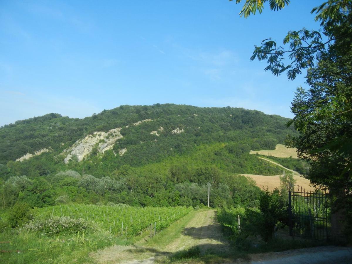 La Colombarola Agriturismo Farneto Eksteriør bilde